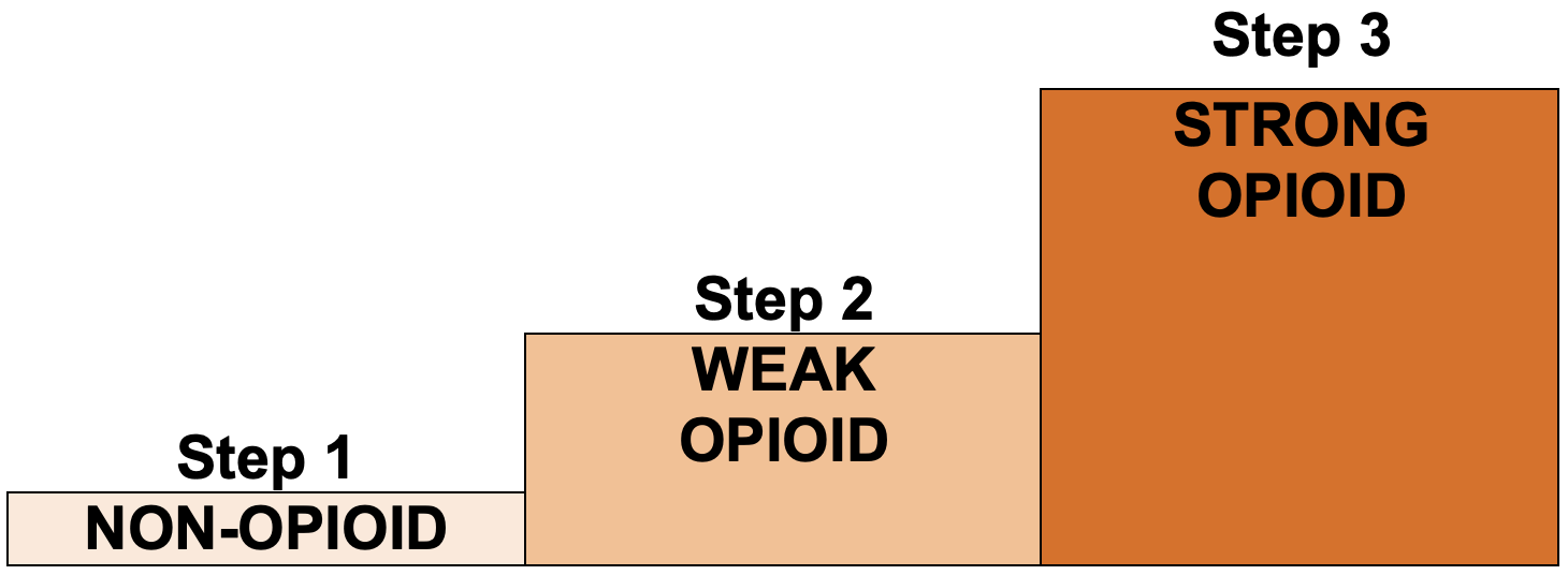 WHO Analgesic