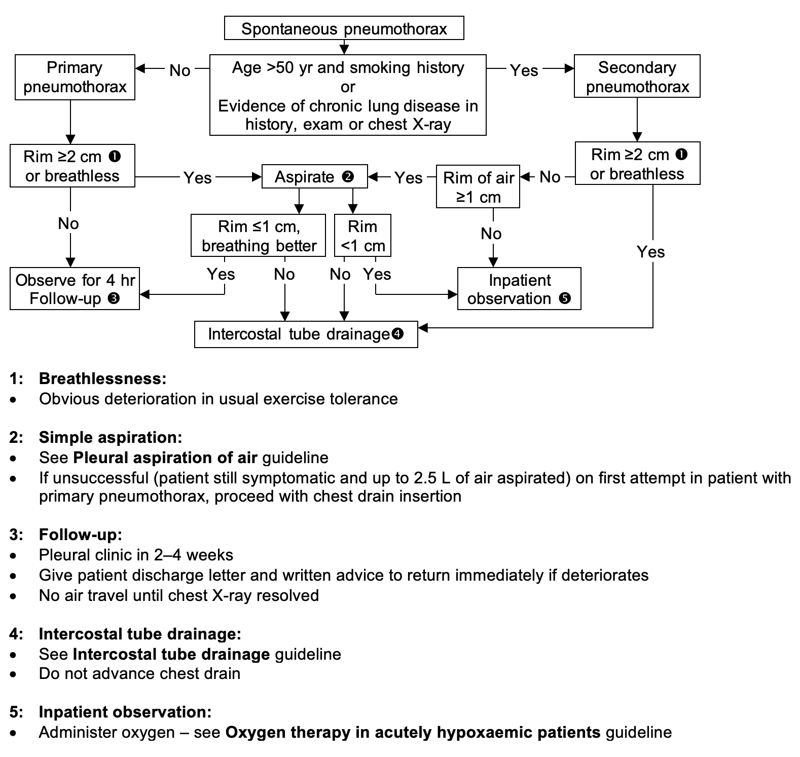 Spontaneous PNX Flowchart One